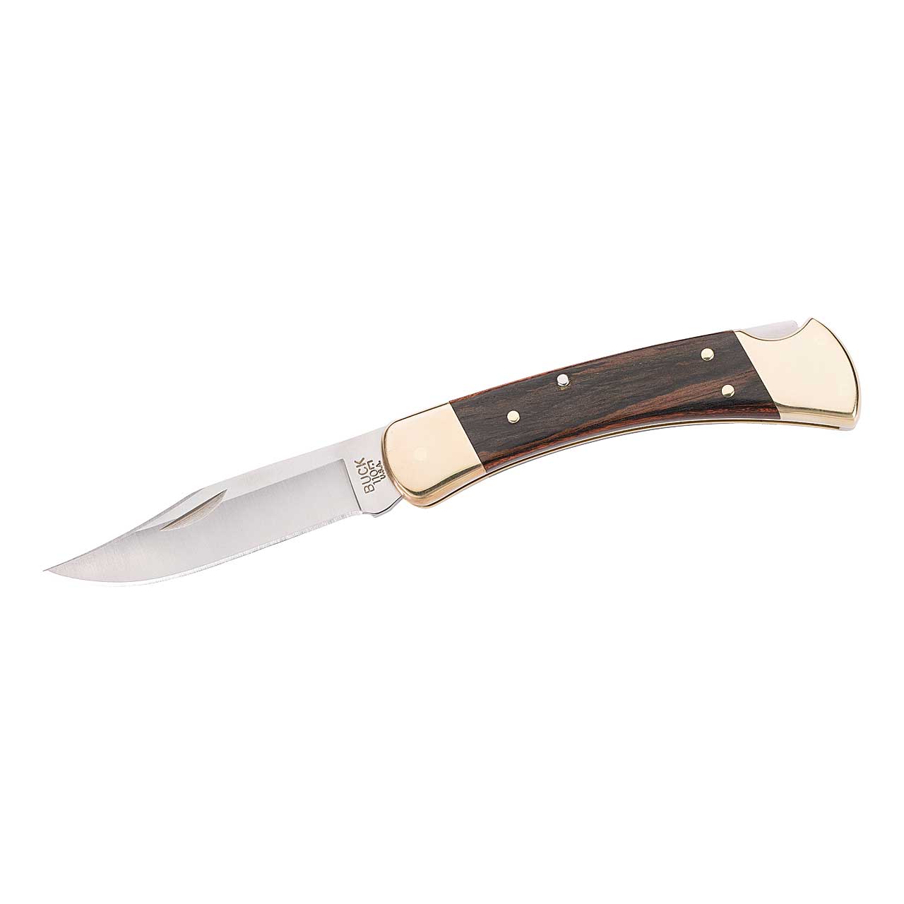 Buck 110 FOLDING HUNTER mit Etui