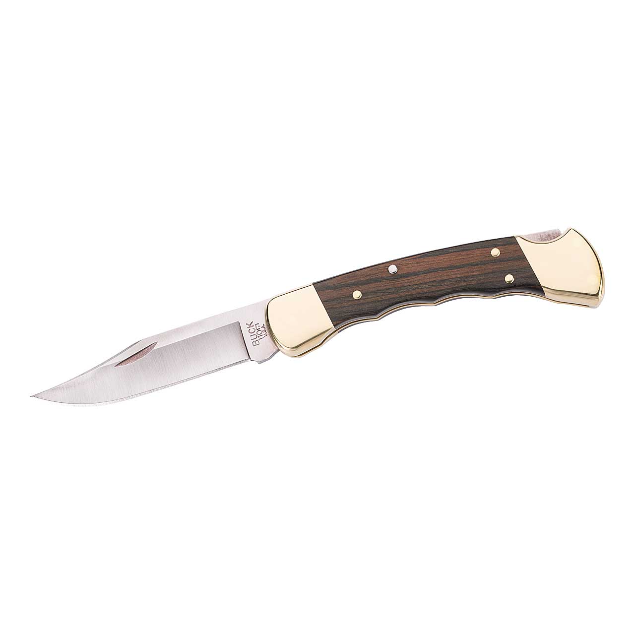 Buck 110 FOLDING HUNTER Finger Grooved mit Etui